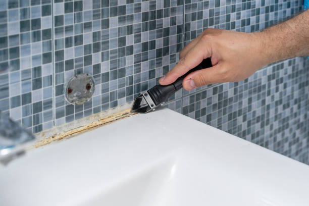 Best Toxic Mold Removal  in Vivian, LA