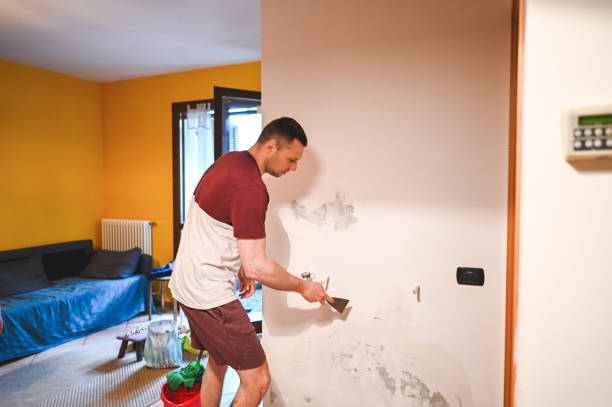 Best Mold Cleaning Services  in Vivian, LA